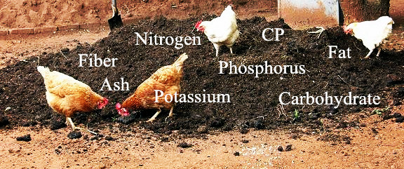 鸡粪养分含量